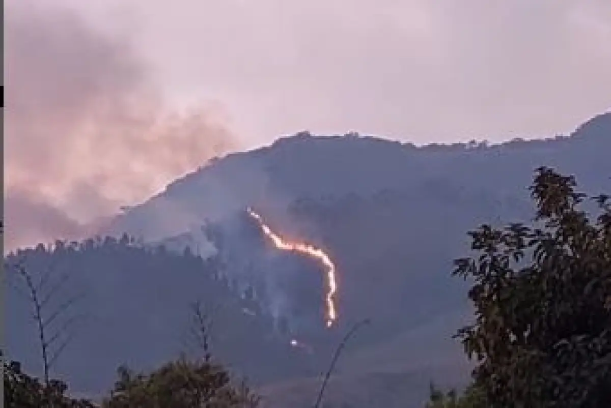 Kebakaran di lereng Gunung Ungaran, Titik Lokasi Ada di Sekitar Bandungan (Sumber : instagram.com/kabarungaran)