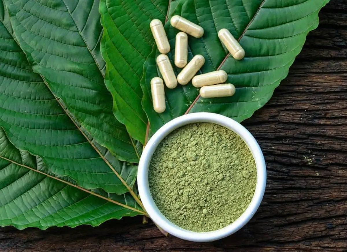 RI Punya Jenis 'Narkotika' dan bukan barang ilegal bernama kratom (Sumber : sumsel.bnn.go.id)
