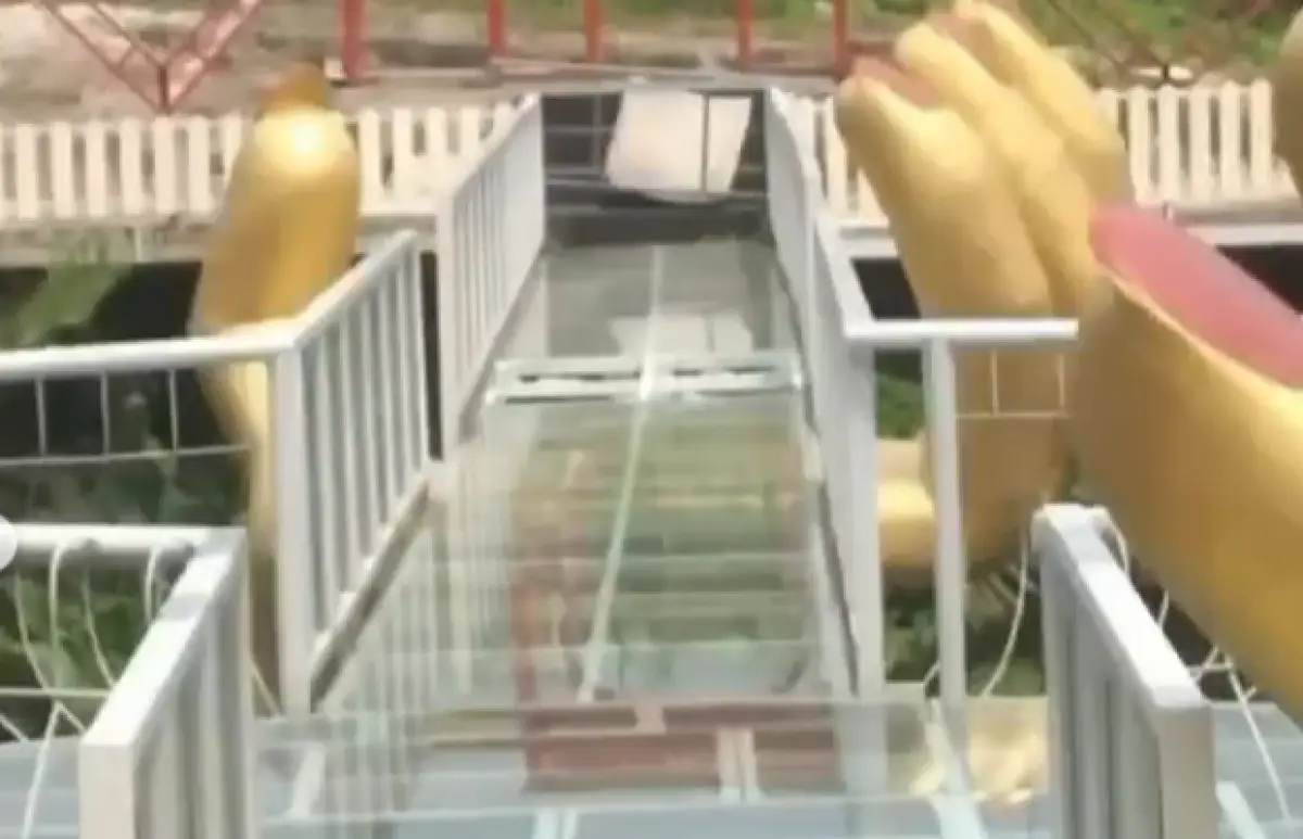 Jembatan kaca The Geong di Hutan Pinus Limpakuwus, Banyumas, memakan korban, 1 orang tewas dan 1 lainnya luka, Rabu 25 Oktober 2023. (Sumber : Instagram @smg_repostt)