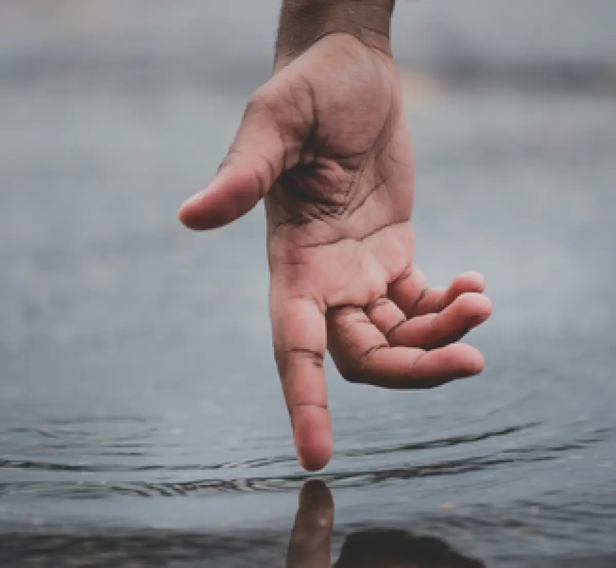 Ilustrasi jari tangan (Sumber : Unsplash/Nick Moore)