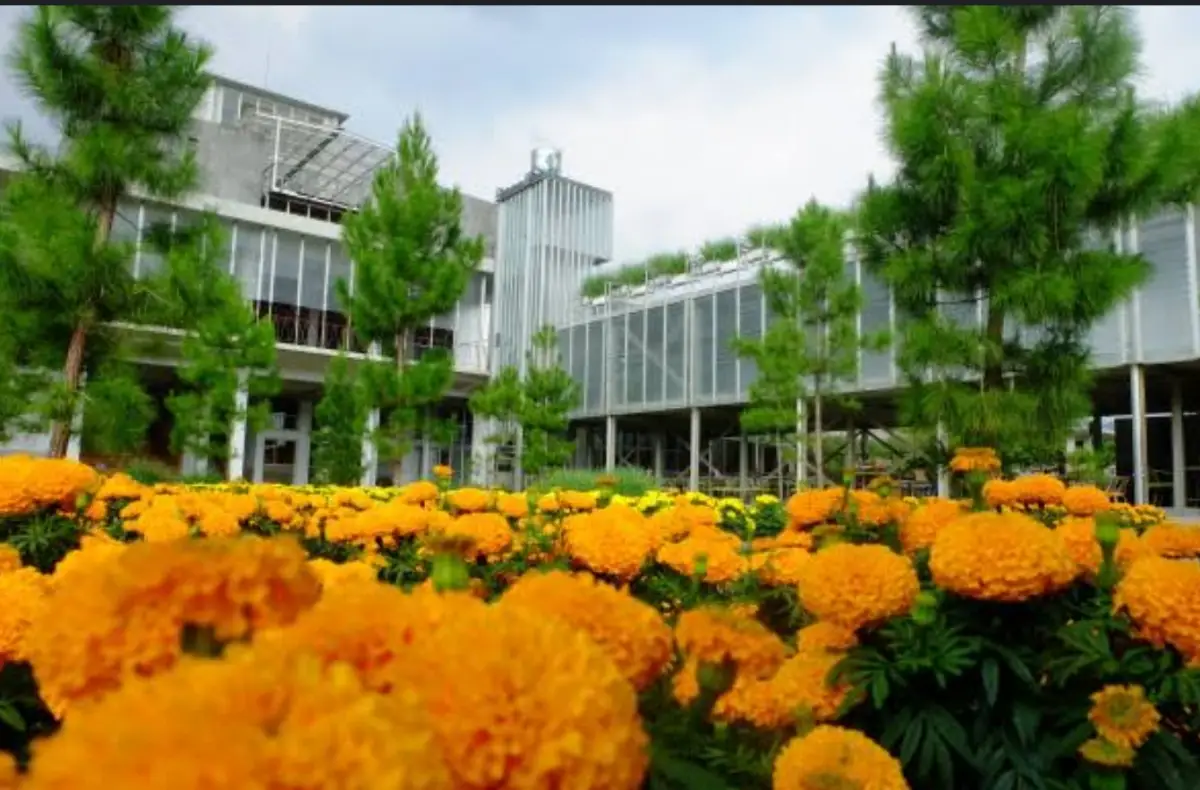 Rumah Astiri Tawangmangu Jawa Tengah (Sumber : PesonaKaranganyar.com)