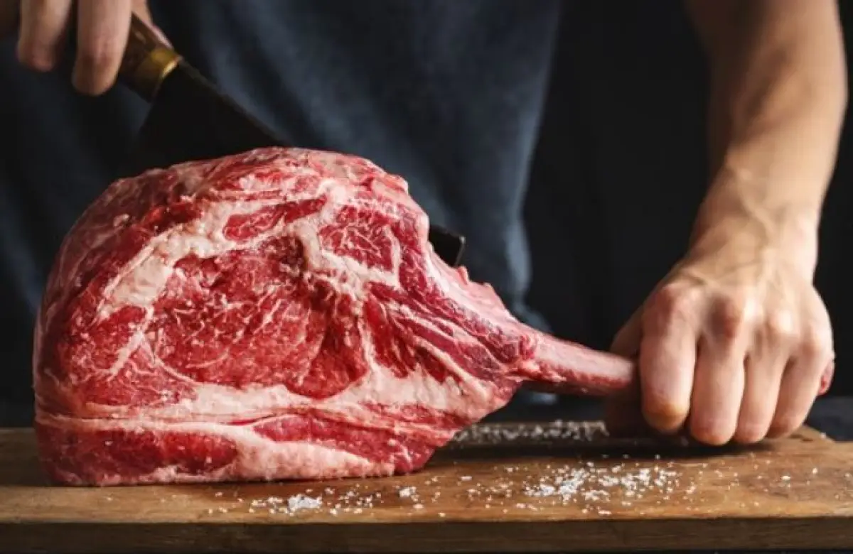 Daging meltique disebut wagyu 'imitasi' (Sumber : Freepik/valeria_aksakova)