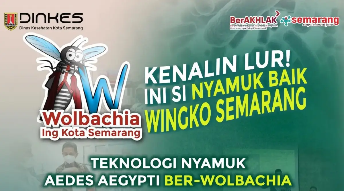 Ramai kabar nyamuk buatan Bill Gates, nyamuk aedes aegypti ber-wolbachia yang disebut aman karena bisa melumpuhkan virus DBD, zika dan chikungunya. (Sumber : Pemkot Semarang)
