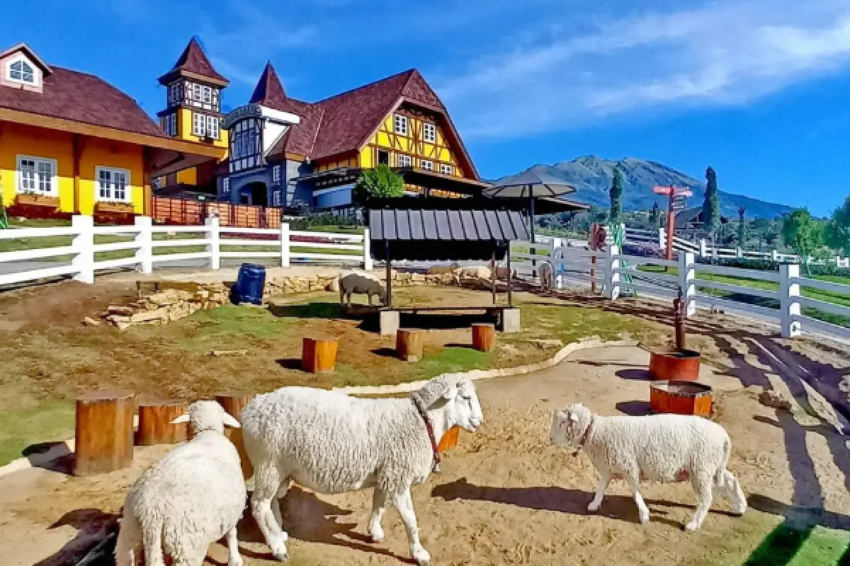 Cepogo Cheese Park | Rekomendasi wisata sehari di kawasan wisata Selo, Boyolali, Jawa Tengah. (Sumber : Instagram/cepogo.cheesepark.boyolali)