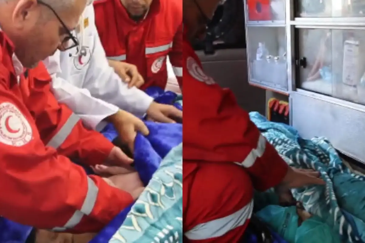 Bikin Dirjen WHO Bangga, Begini Detik-detik Relawan Plestina Pindahkan 28 Bayi Prematur Gaza ke Mesir (Sumber : Twitter/@DrTedros)