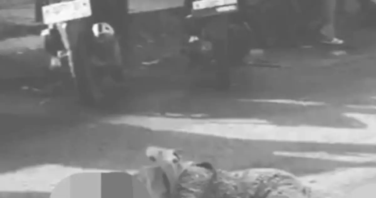 Kecelakaan terjadi di Jalan Batursari Raya, Mranggen, Kabupaten Demak, pada Jumat 8 Desember 2023 pagi, seorang perempuan tergeletak setelah tertabrak truk dump. (Sumber : Facebook Berita Semarang Raya)