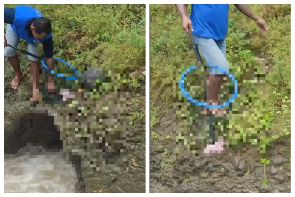 Penemuan jenazah bayi mengapung di Sungai Pasinan, RT 03/02 Kelurahan Polaman, Kecamatan Mijen, Kota Semarang. (Sumber : Instagram/kejadiansmg)