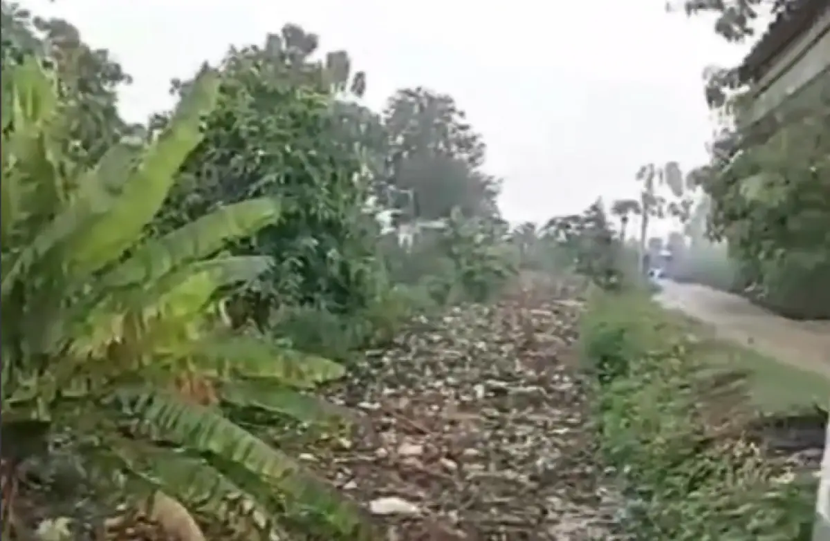 Beredar video yang memperlihatkan aliran sungai di Kabupaten Pati yang penuh dengan sampah yang ikut mengalir ke hilir dengan arus yang cukup deras, Sabtu 9 Desember 2023. (Sumber : Instagram @explorepatii)
