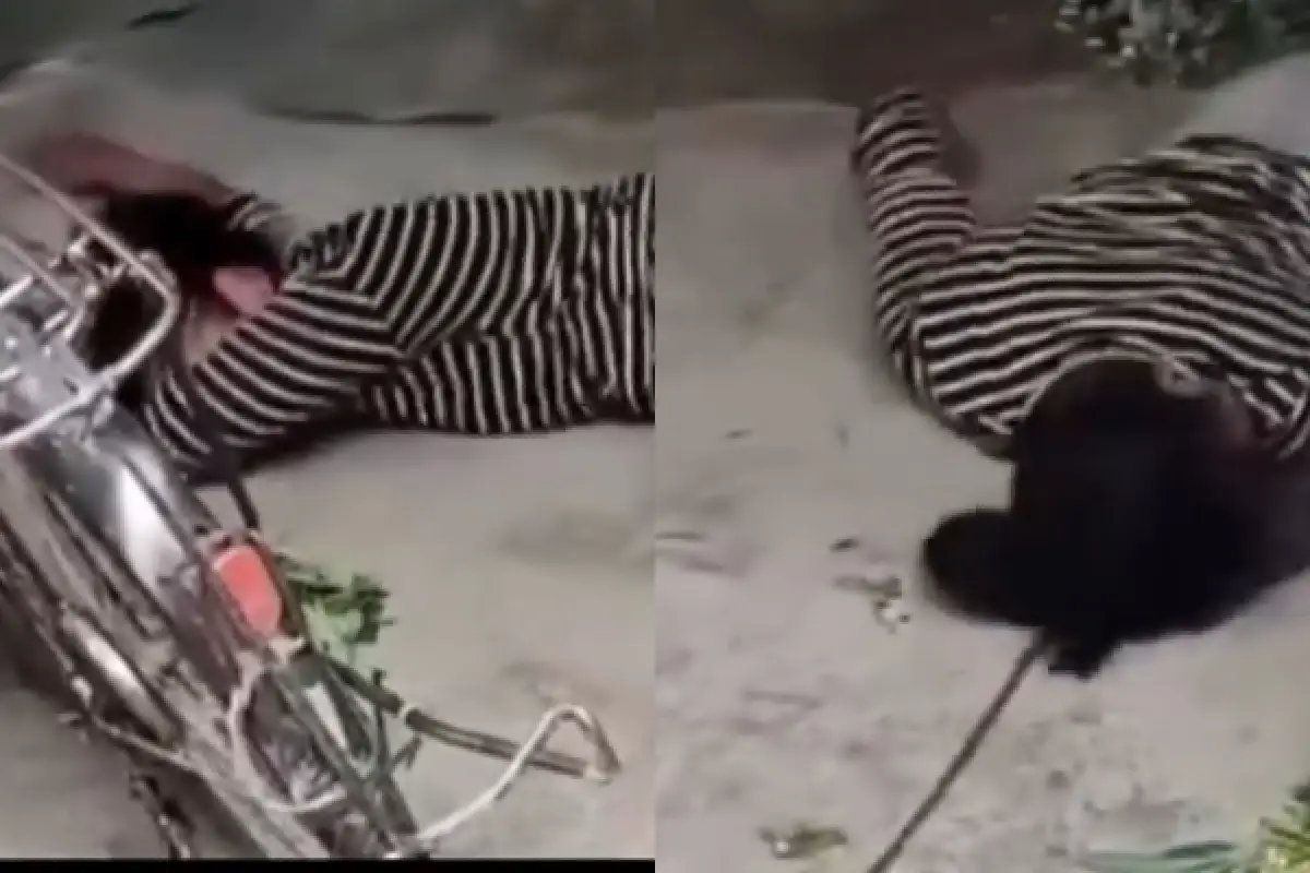 Momen ibu-ibu mendadak kesurupan saat ditagih hutang debt collector (Sumber : Twitter/@sosmedkeras)