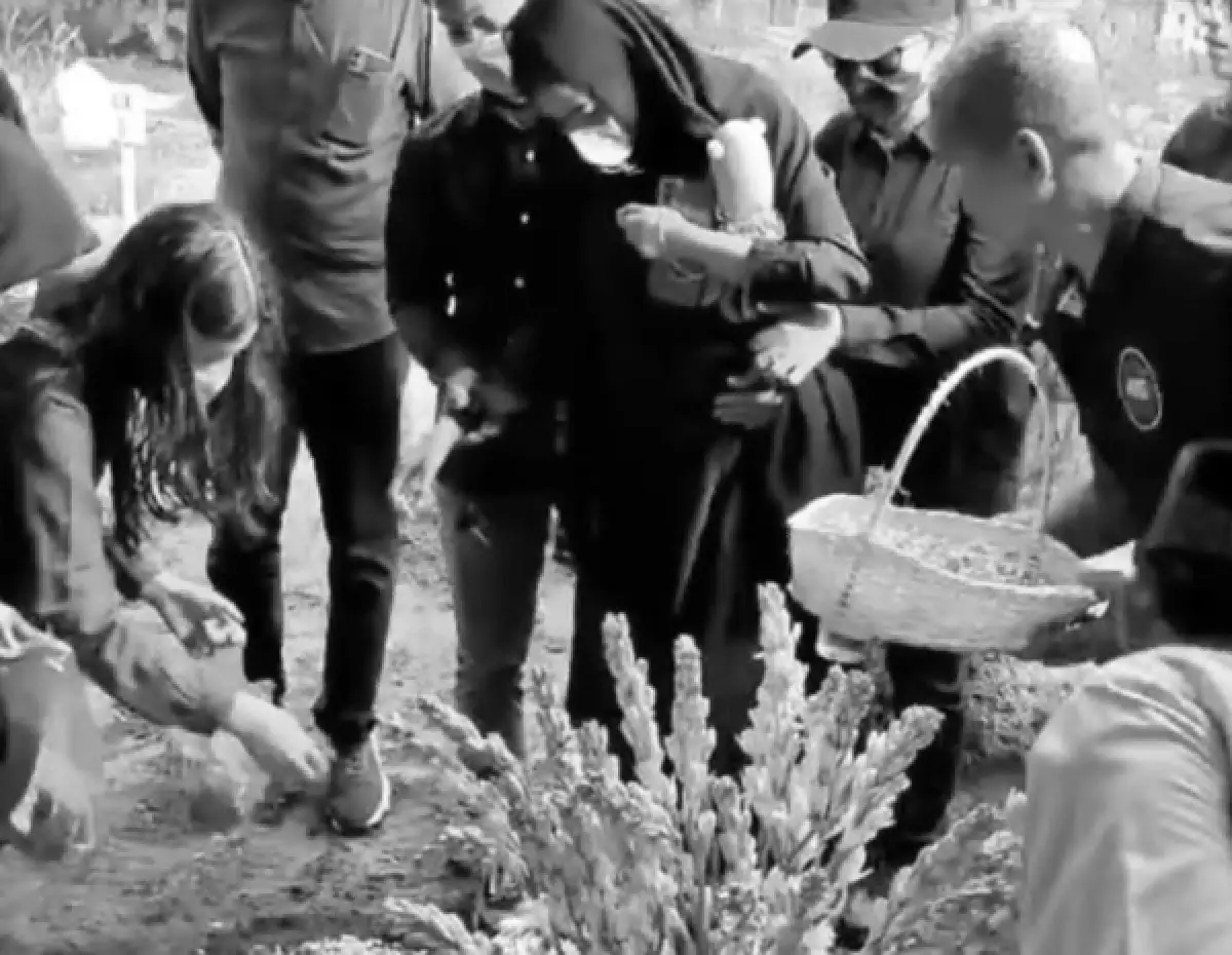 Pesan terakhir Ibu 4 anak korban pembunuhan di Jagakarsa (Sumber : instagram @undercover.id)