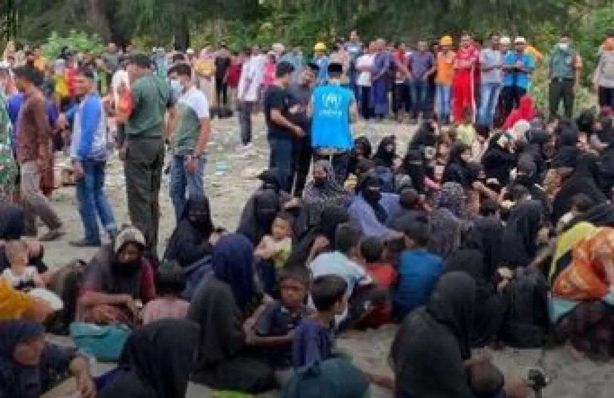 Pengungsi Rohingya BAB Sembarangan Di Tambak Ikan Milik Warga (Sumber : instagram.com/mimi.julid)
