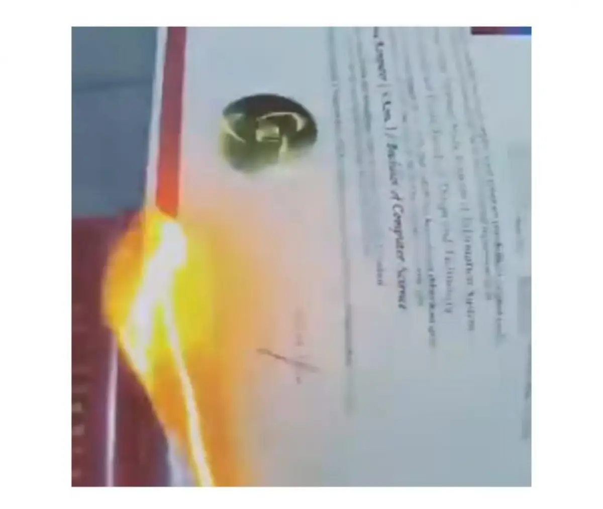 aksi wanita bakar ijazah pacarnya sendiri viral di media sosial (Sumber : instagram @nenktaiment)