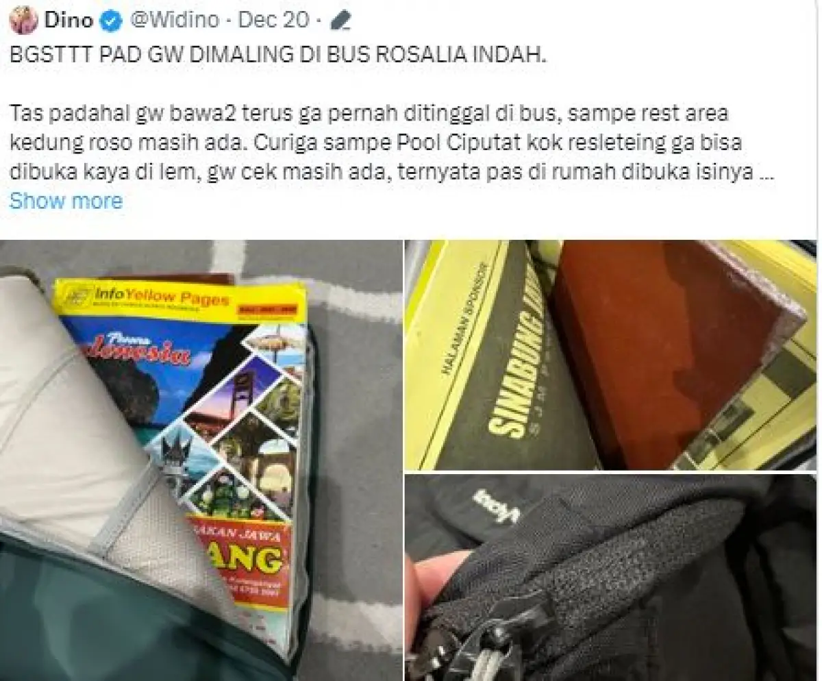 pengakuan eks karyawan Rosalia Indah soal kasus hilangnya barang penumpang  (Sumber : X @Widino)