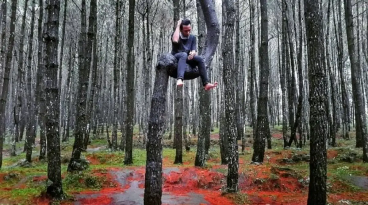 Hutan Pinus Kayon (Sumber : instagram @galeriwisatawan)