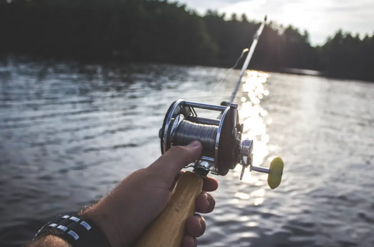 Ilustrasi memancing (Sumber : Unsplash/@braddyrogers)