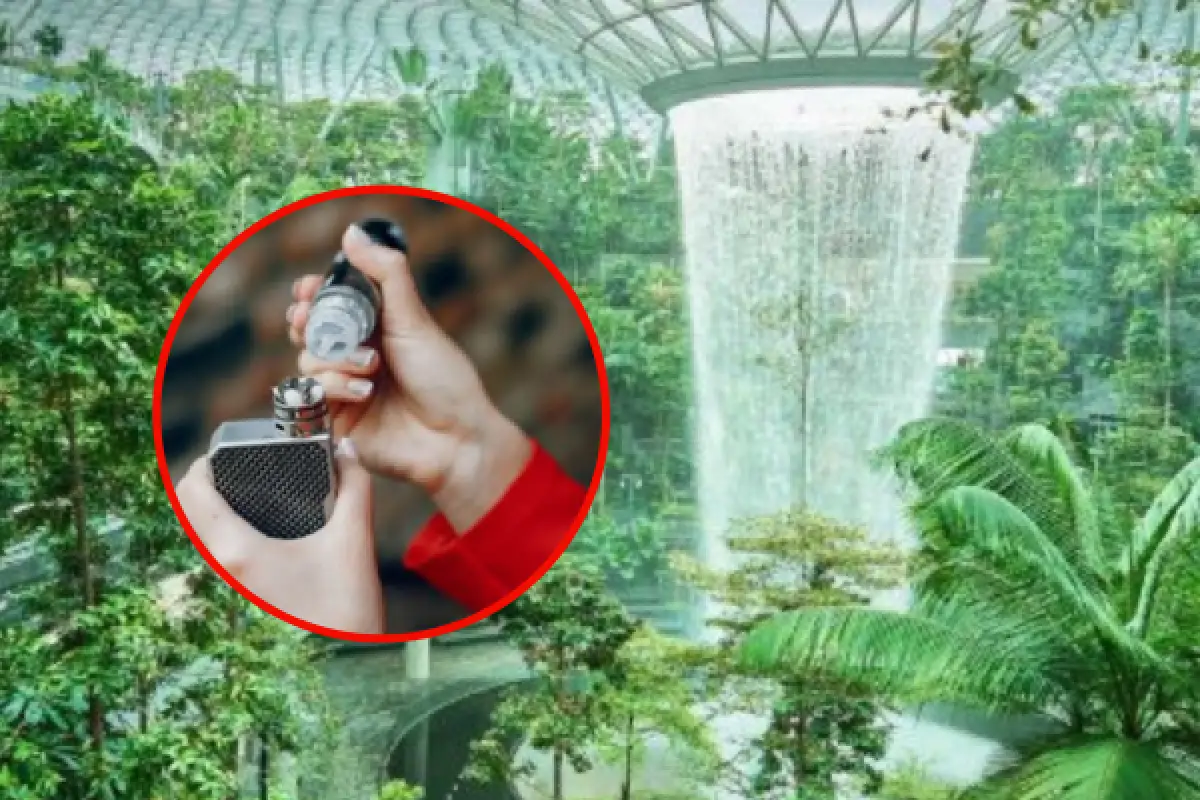 Singapura Razia Rokok Elektrik di Bandara Changi, Yang Bawa Bisa Kena Denda Puluhan Juta Rupiah! (Sumber : Freepik/prostooleh & instagram @changiairport.id)