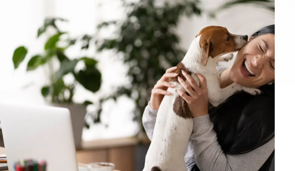 Ilustrasi tempat pet friendly (Sumber : Freepik)