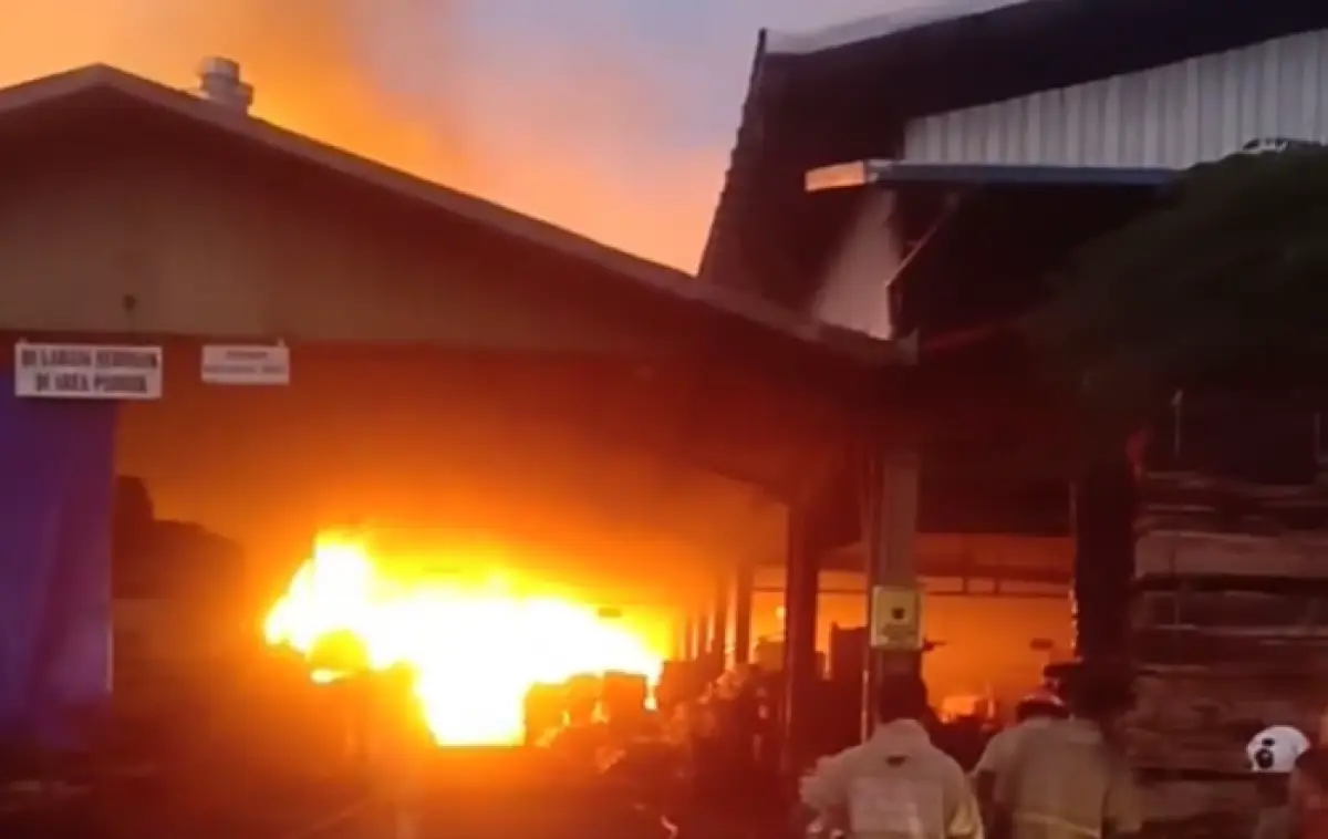 Si jago merah membakar gudang kayu PT Kapuas di Gebanganom, Gebangsari, Genuk, pada Sabtu 30 Desember 2023 dini hari. (Sumber : Instagram @infokejadian_genuk - InfoSemarang.com)