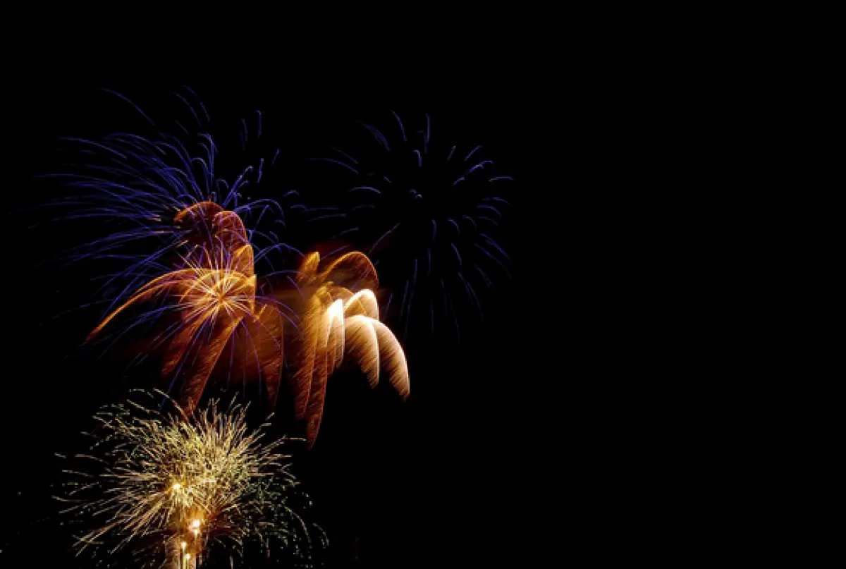 Ilustrasi kembang api (Sumber : Pixabay)
