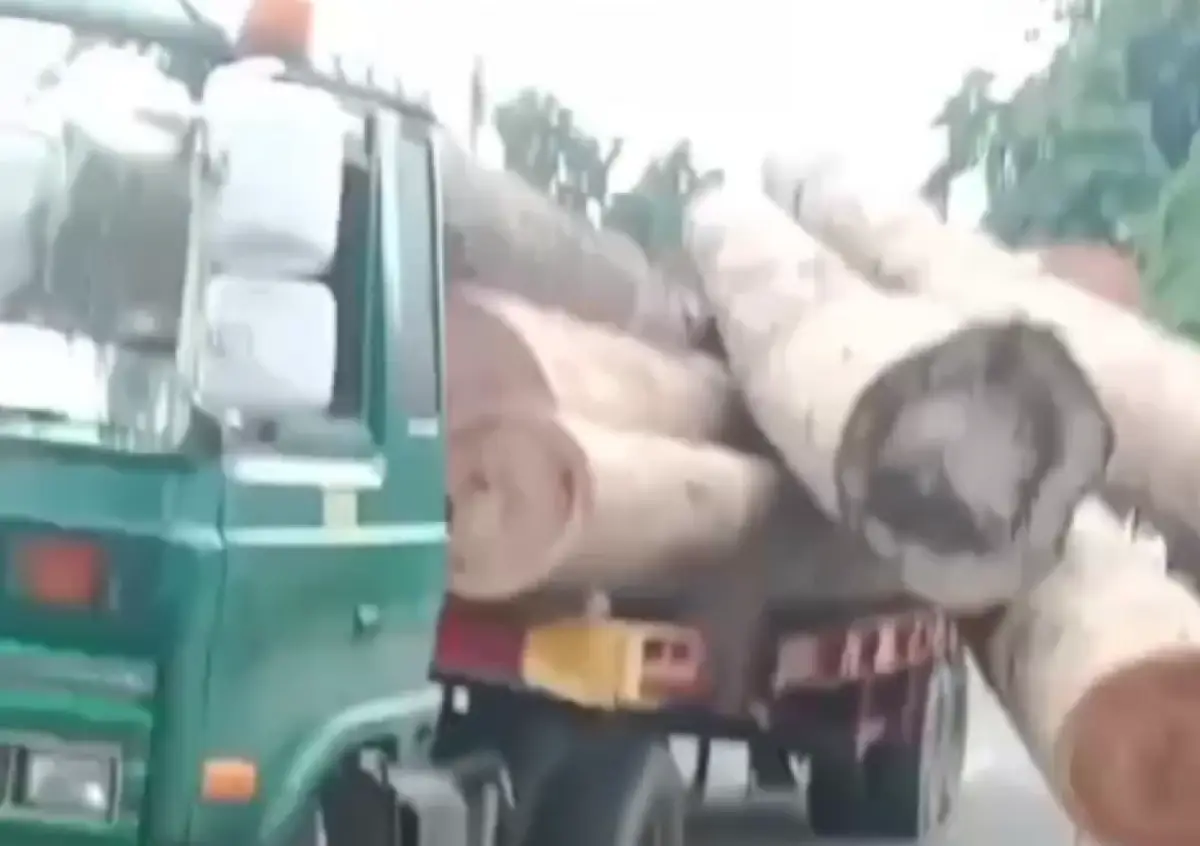 Kecelakaan tunggal terjadi di Jalan Soekarno Hatta, Kota Semarang, pada Minggu 7 Januari 2024 siang, truk pengangkut kayu-kayu ukuran jumbo ambrol. (Sumber : Instagram @portalsemarang - InfoSemarang.com)