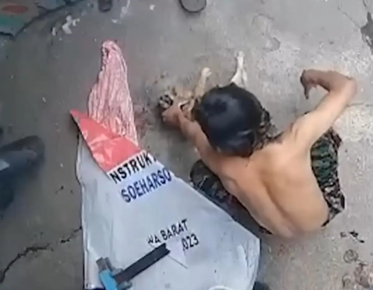 pria di Solo siksa kucing gara-gara hendak makan lauknya dicuri (Sumber : instagram @surakartahits)
