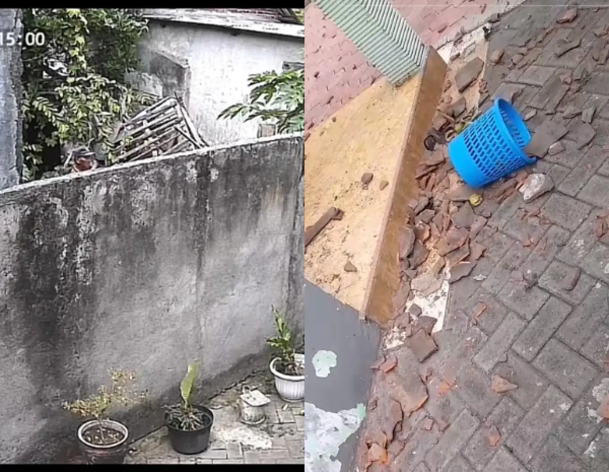 pria di Trenggalek viral usai getol lempari rumah tetangganya dengan batu (Sumber : TikTok @nananajun)