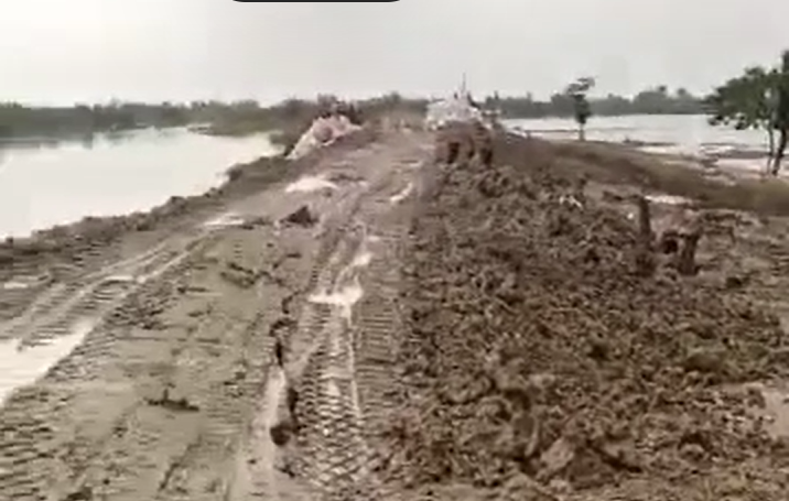 Tanggul Sungai Wulan, Karanganyar, Demak, retak-retak setelah hujan deras Rabu 21 Februari 2024. (Sumber: @infokejadiandemak)