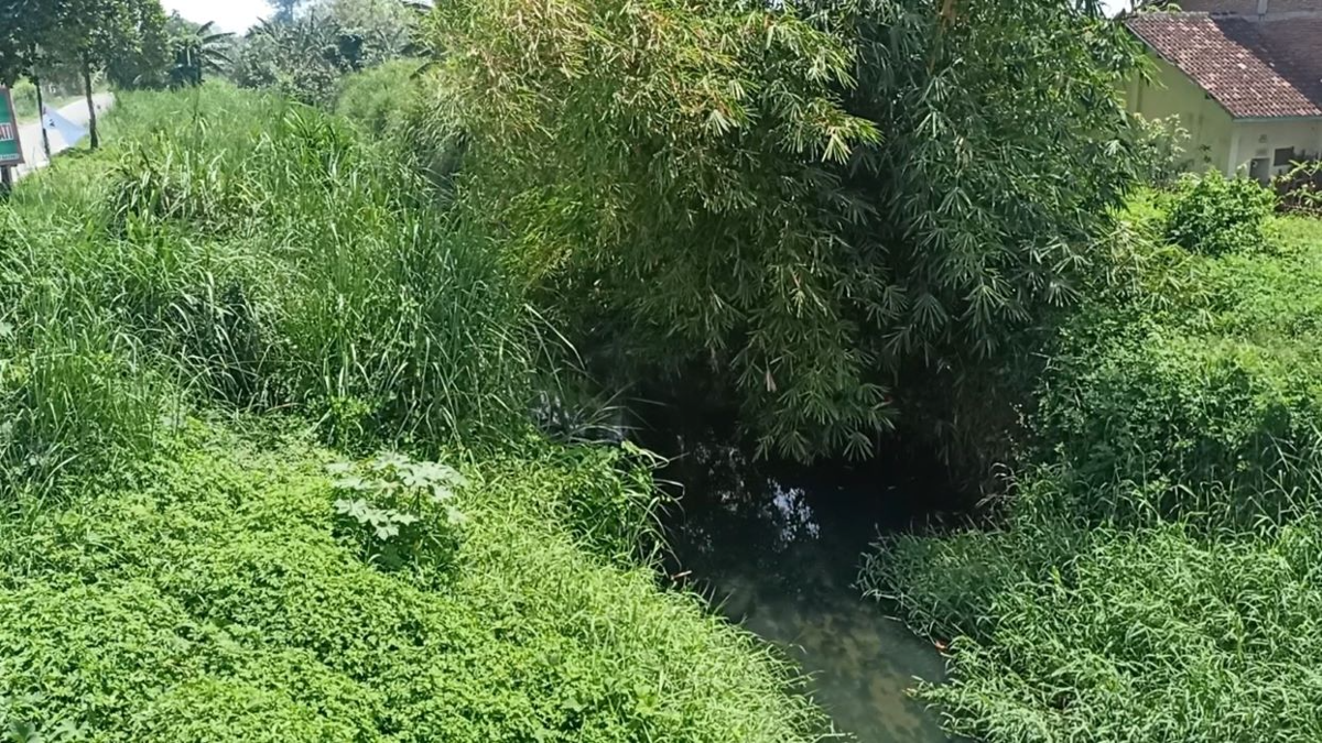 Sungai Plumbon, Kecamatan Tugu, Kota Semarang. (Sumber:  | Foto: Sakti)