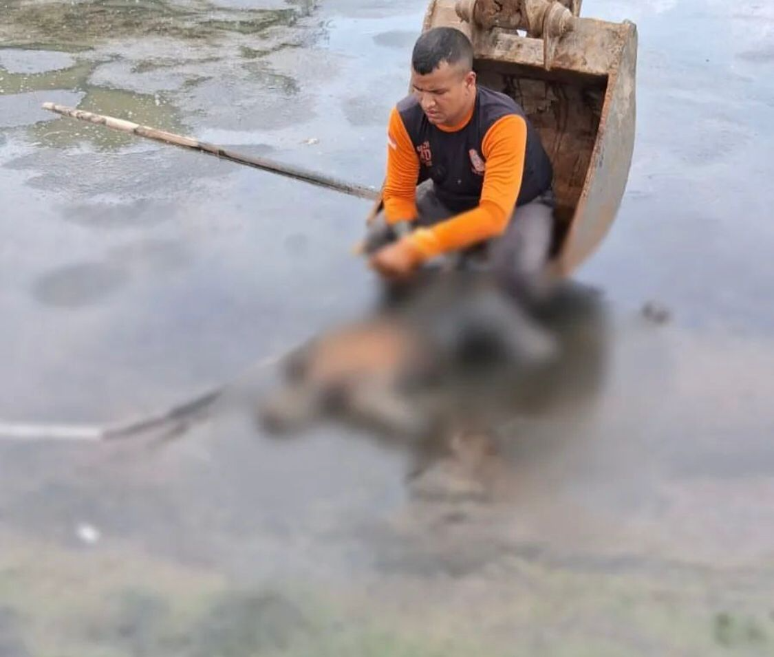 penemuan mayat laki-laki tanpa identitas di Tambak Rejo (Sumber: instagram | Foto: @im.semarang.official)