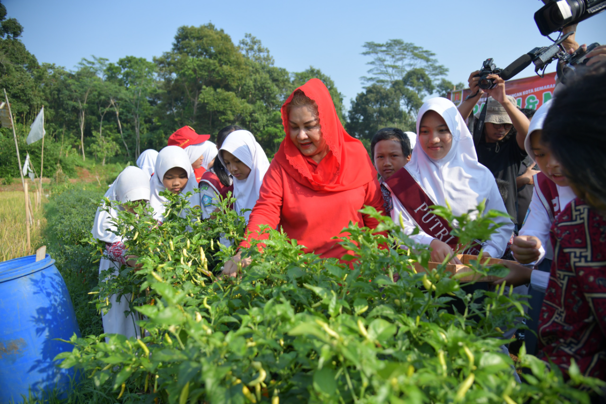 Aktivitas pertanian di Kota Semarang. (Sumber: | Foto: Sakti)