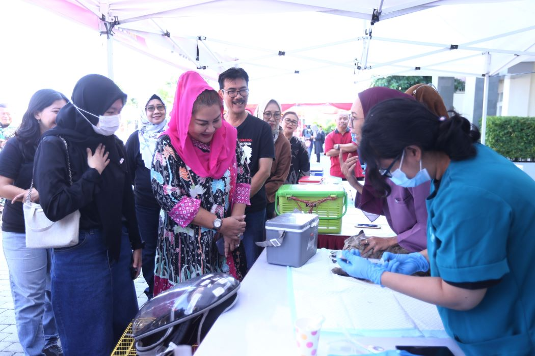 Pemkot Semarang menggelar vaksinasi dan sterilisasi gratis bagi kucing dan anjing liar. (Sumber:  | Foto: dok Humas Pemkot Semarang.)