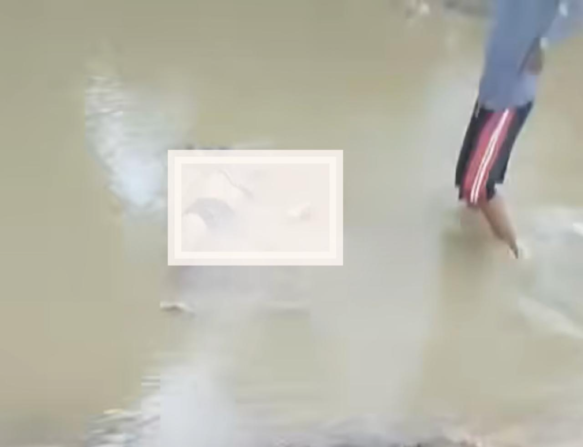 mayat pria berusia 40 tahunan ditemukan di sungai Blukar (Sumber: instagram  | Foto: @beritasemaranghariini)