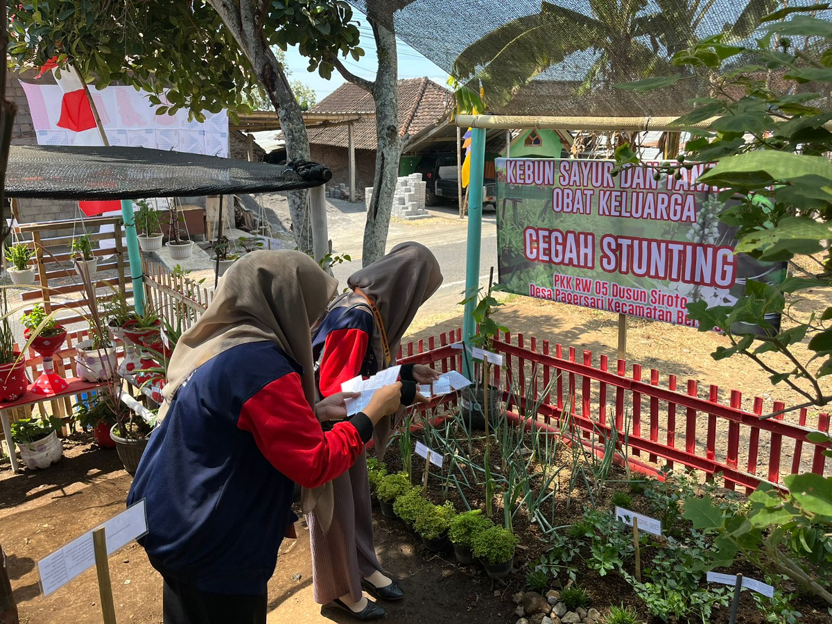 Mahasiswa KKN MBKM UPGRIS saat pemberian nama pada tanaman toga. (Sumber:  | Foto: Dok)