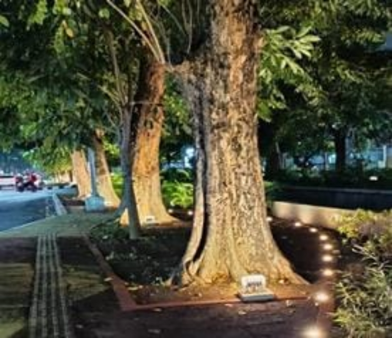 Sepanjang kawasan kampung kali Semarang tampak cantik dan estetik.
 (Sumber:  | Foto: Sakti)